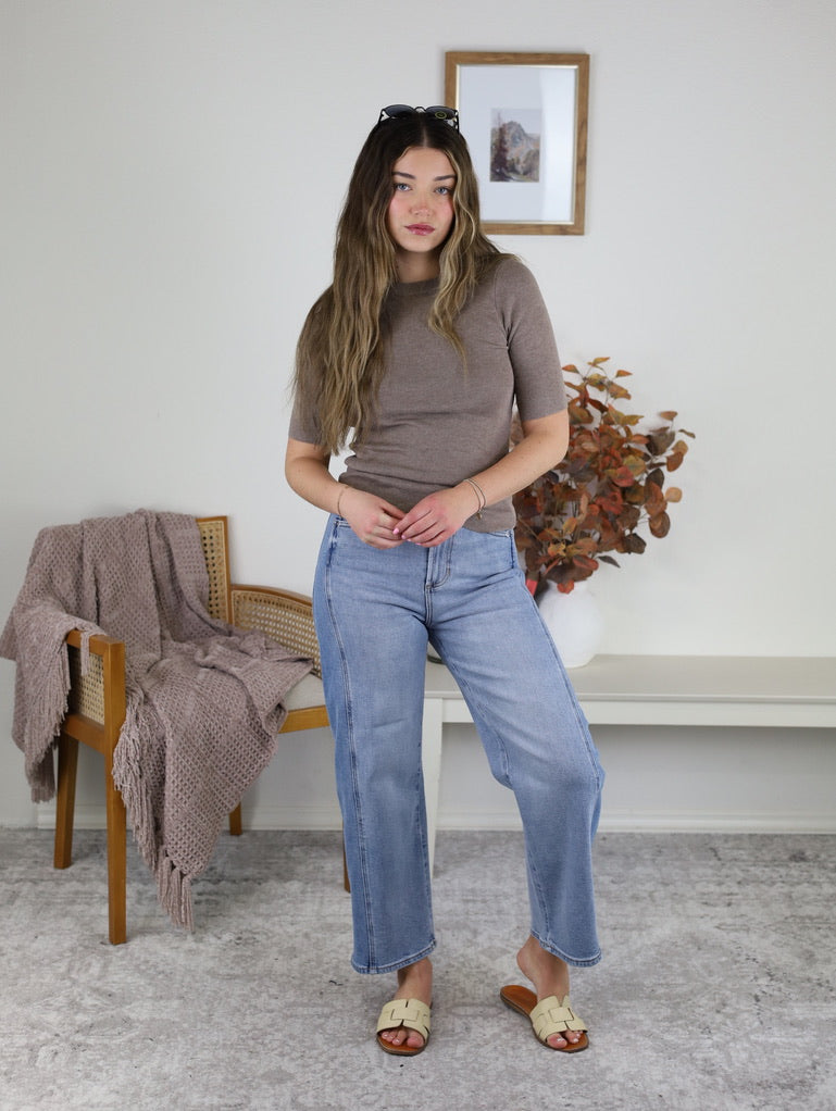 Hayes Classic Solid Rib Knit Sweater -Mocha