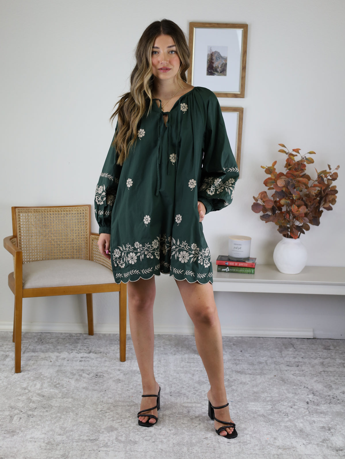 Hunter Embroidered Mini Dress