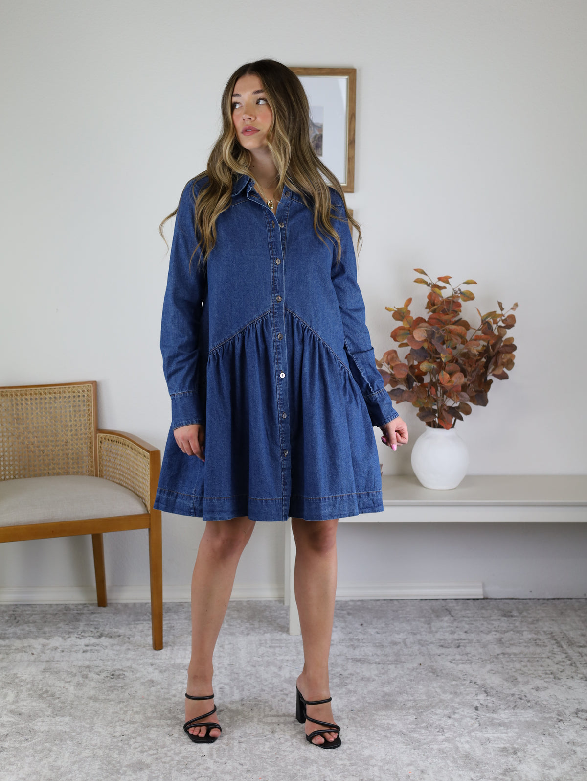 Ayla Denim Dress